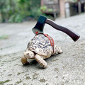 670e720668649_best-pet-halloween-costumes.jpg