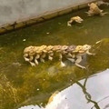 67bdd08fbaad8_random-weird-pics.jpg