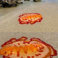 spanish dancer 2.jpg