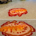 spanish dancer.jpg
