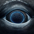 whale eye.jpg