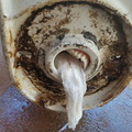 6322e594e5788_T1nkzAc_700.jpg