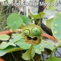 biology-medicine-chemistry-memes-67d19ec8d98e4__700.jpg