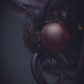 nature4-675011b5a27bc__700.jpg