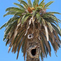 pareidolia-faces-everyday-objects-65-58fdf1129f84e__605.jpg