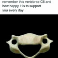 vertebra.jpg