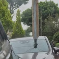 car pole.jpg