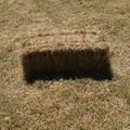 not a hole.jpg