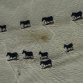 zebra shadows.jpg