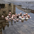 politicians discussing global warming.webp