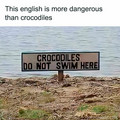 crocodiles do not swim here.jpg