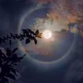moonbow.jpg