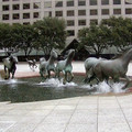Mustangs, Las Colinas, Texas, United States.jpg