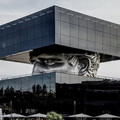 polygon riviera - france.jpg