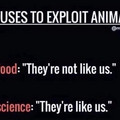 HQkdA81XYAApajB.jpg