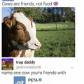 cows are friends.jpg