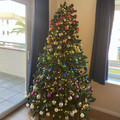 675a8fcec9870_christmas-tree-idea-pics.jpg