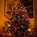 christmas tree 5.jpg