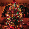 christmas tree 6.jpg