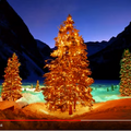 trees_5.png